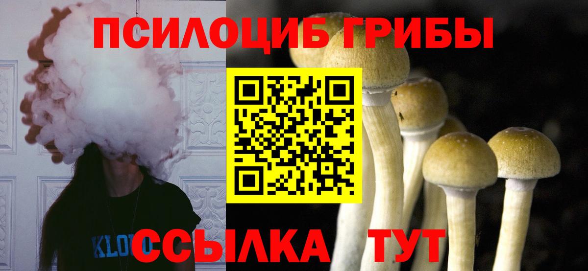 Наро-Фоминск  Галлюциногенные грибы MAGIC MUSHROOMS  Вход с VPN 